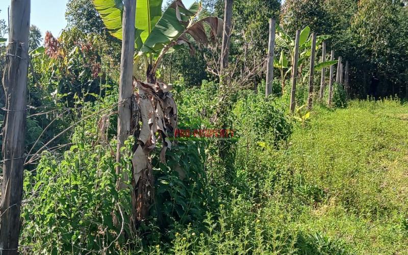 Ready To Build Plots For Sale In Lusingeti