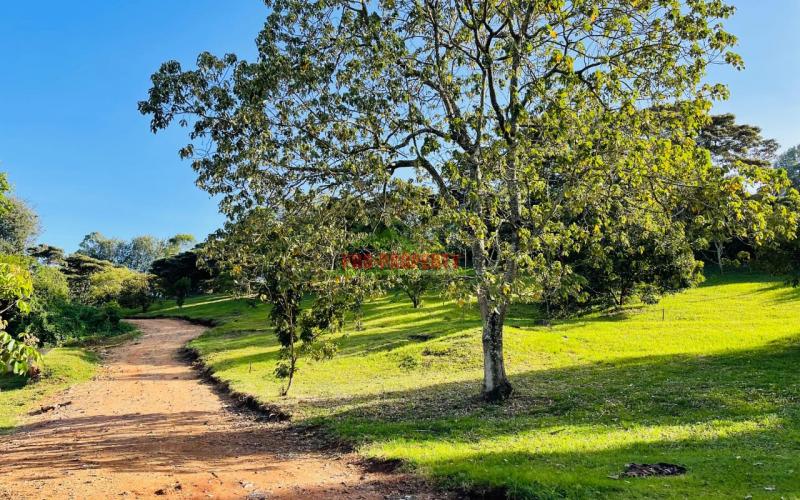 Prime 100 By 100ft Residential Plots For Sale In Ngong, Kajiado In A Gated Community - Tulivu Estate.