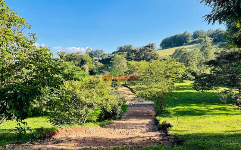 Prime 100 By 100ft Residential Plots For Sale In Ngong, Kajiado In A Gated Community - Tulivu Estate.