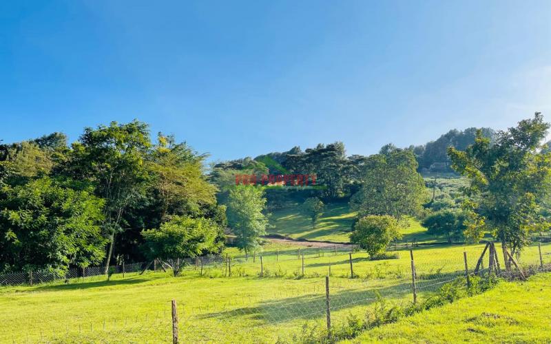 Prime 100 By 100ft Residential Plots For Sale In Ngong, Kajiado In A Gated Community - Tulivu Estate.