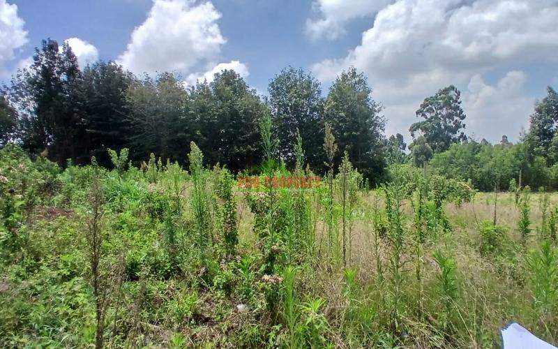 PRIME 50 BY 100 RESIDENTIAL PLOT FOR SALE IN KIKUYU,NG'AMBA  AREA