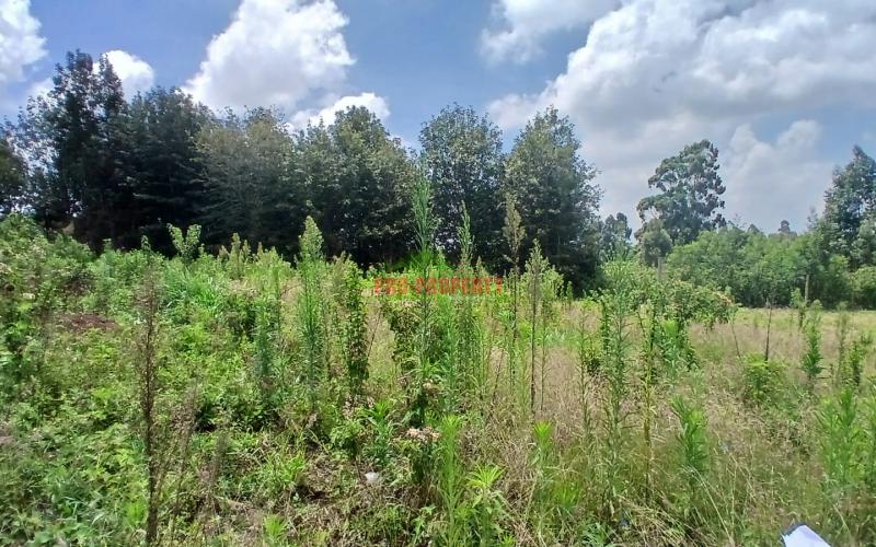 Prime 50 By 100 Residential Plot For Sale In Kikuyu,ng'amba  Area