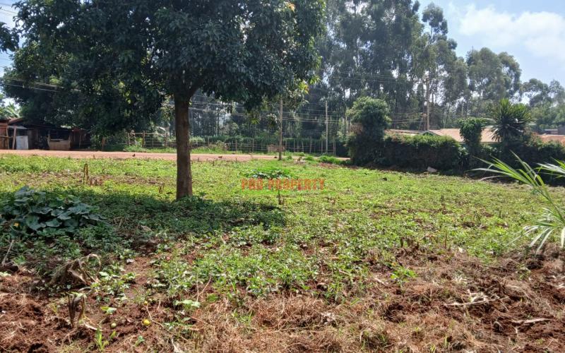 Prime  100 By 100 Commercial Plot For Sale In Kikuyu,gikambura