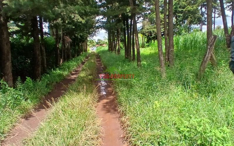 Prime  76 By 100fts Commercial Plot For Sale In Kikuyu – Regen (just 50m Off Waiyaki Way)