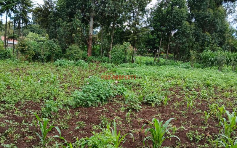 Prime 100 By 100 Residential  Plots For Sale In Kikuyu,muguga