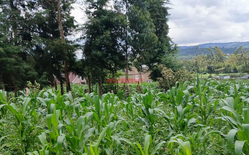 Prime 50 By 100ft Plots For Sale In Kikuyu,gikambura
