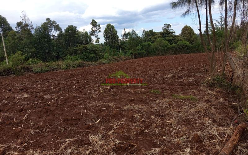 Prime Residential 100 By 200 Plot For Sale In Kikuyu Kamangu