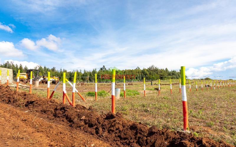 Residential Serviced Plots For Sale In Kikuyu, Nachu (gated Community Concept).