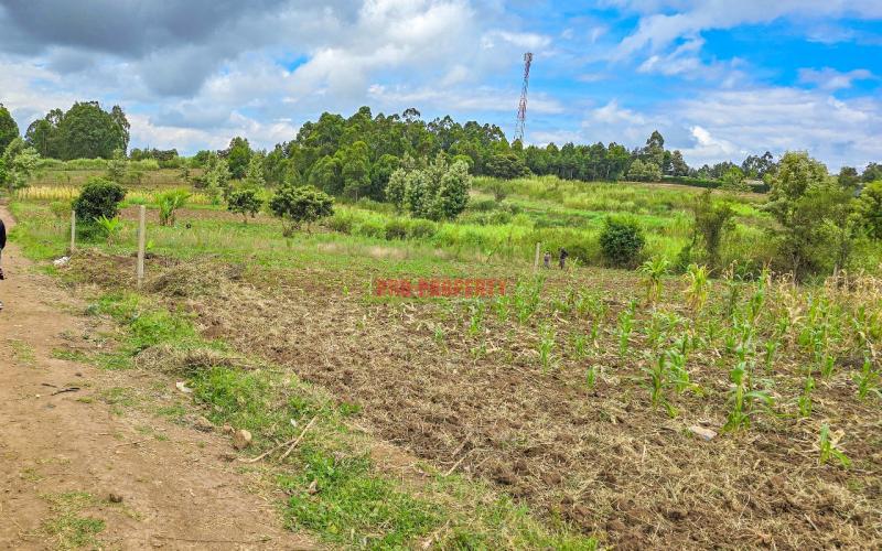 Prime Residential Plot For Sale In Kikuyu, Gikambura