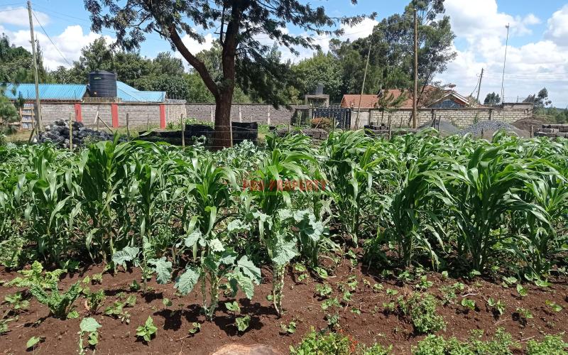 Prime Residential Plot For Sale In Kikuyu, Kiambaa.