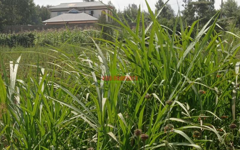 Residential Plot For Sale In Kikuyu, Gikambura