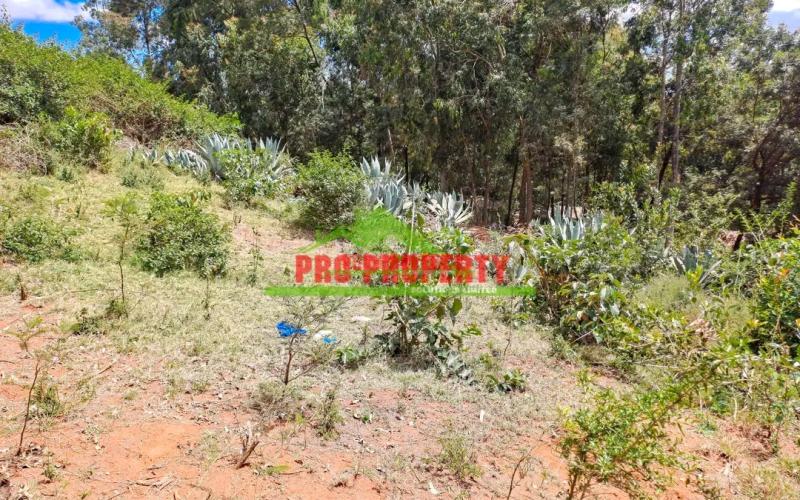 Prime  50 by 100ft plot  for sale in Kikuyu-near the southern bypass
