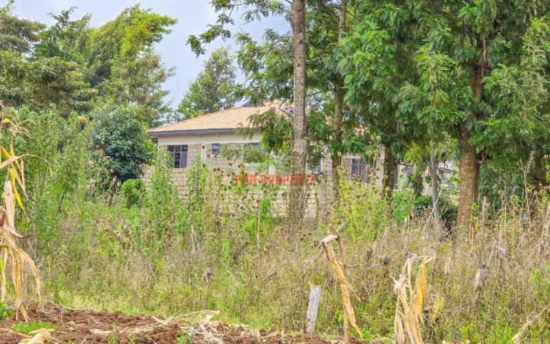 Prime Residential Plot For Sale In Kikuyu, Gikambura