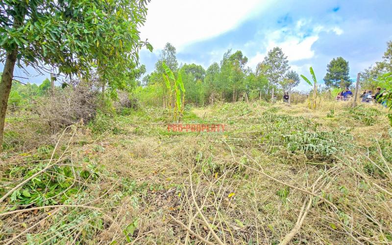 Prime Residential Plot For Sale In Kikuyu, Migumoini