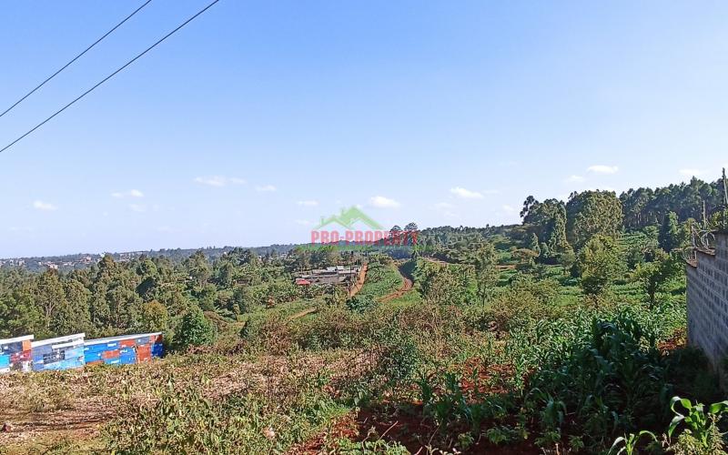 50 by 100ft Plot for Sale in Kikuyu, Thogoto (With Income)