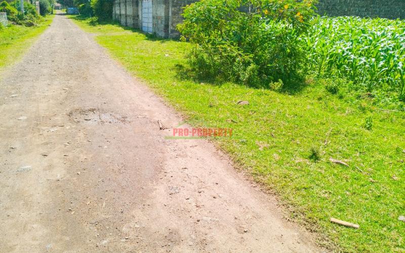 1/4 Acre Residential Plot For Sale In Olive Inn Estate, Nakuru, Kiamunyi.