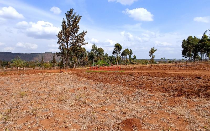 Residential Plot For Sale In Kikuyu, Thigio (nguirubi Area)