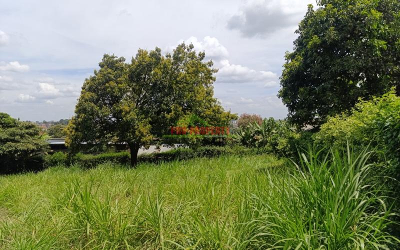 Prime Commercial Plot For Sale In Muthure (western Bypass)