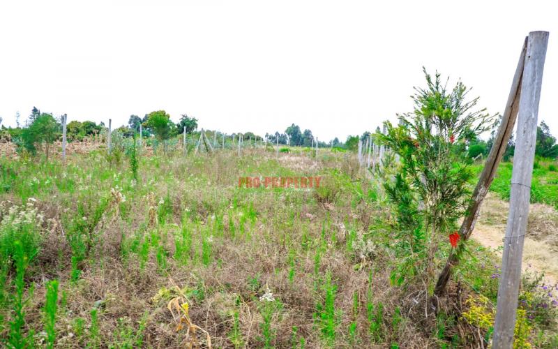 Prime Residential Plot For Sale In Kikuyu, Kamangu