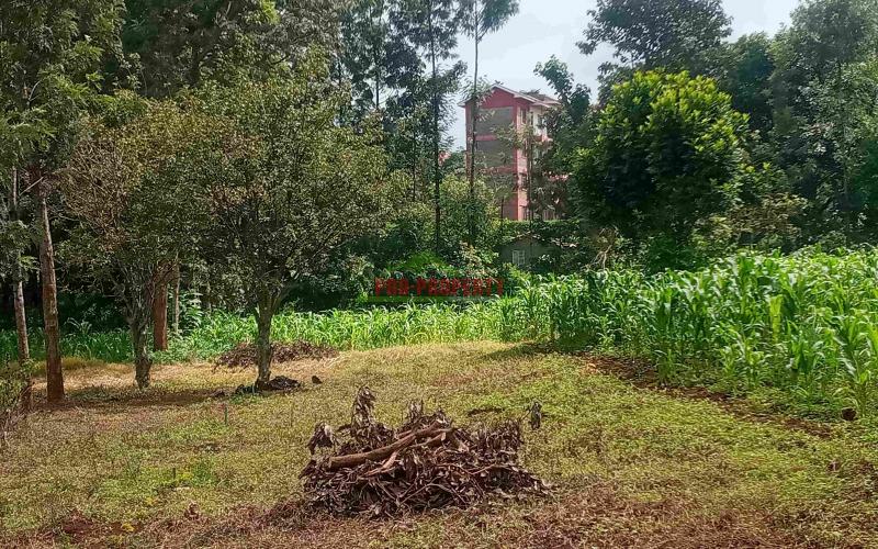 Commercial Plot For Sale In Kinoo Muthiga