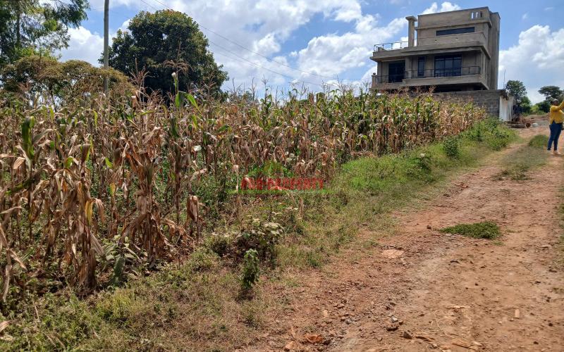 Prime  40 By 80 Ft  Residential Plots For Sale In Kikuyu,gikambura-in A Gated Community Concept