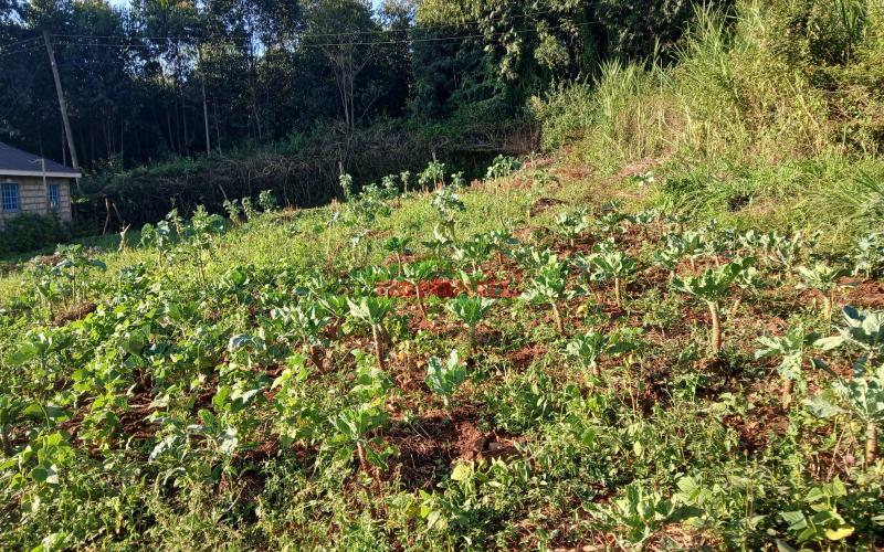 Prime  50 by 100ft Residential plot for sale in KIkuyu, Migumo-ini  Area