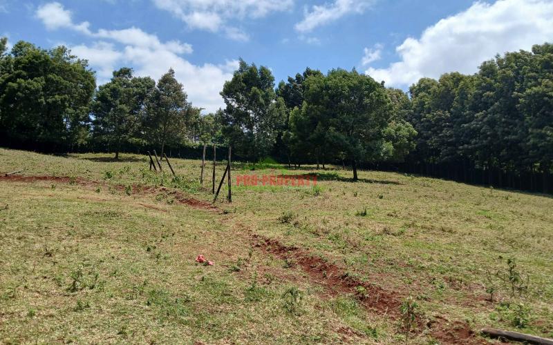 Prime 50 By 100ft Residential Plot  For Sale In Kikuyu,ondiri