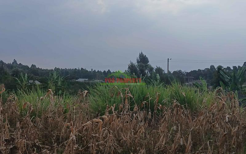 100 By 100ft Residential Plot For Sale In Kikuyu,gikambura