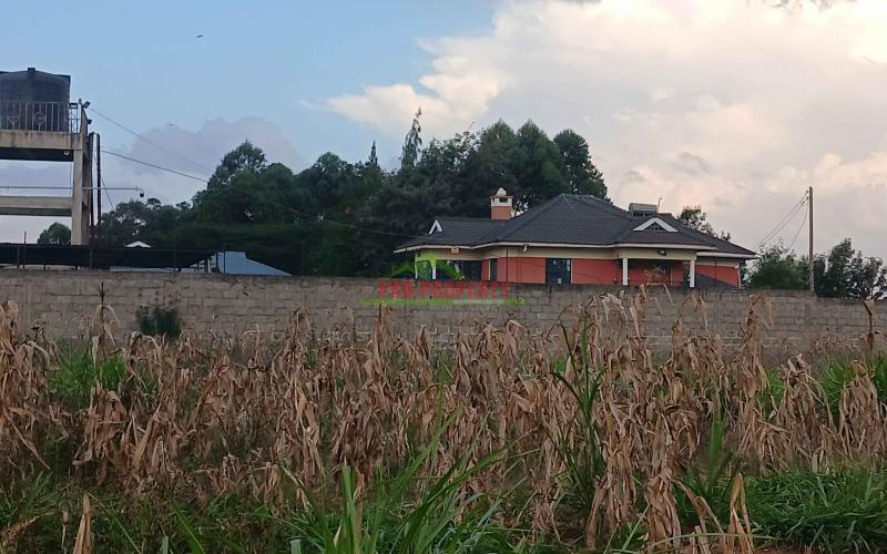 100 By 100ft Residential Plot For Sale In Kikuyu,gikambura