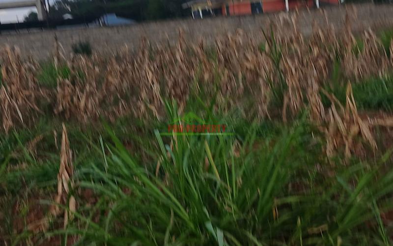 100 By 100ft Residential Plot For Sale In Kikuyu,gikambura