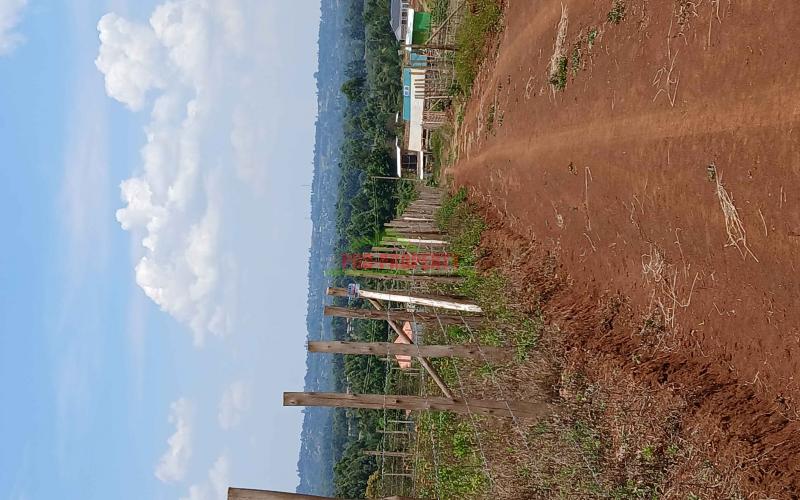 50 By 100ft Residential Plots For Sale In Kikuyu,thigio