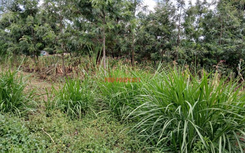 Prime  100 By  100 Ft  Residential Plot For Sale In Kikuyu,muguga- Thamanda  Area