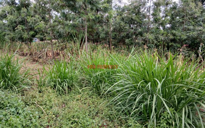 Prime  100 By  100 Ft  Residential Plot For Sale In Kikuyu,muguga- Thamanda  Area