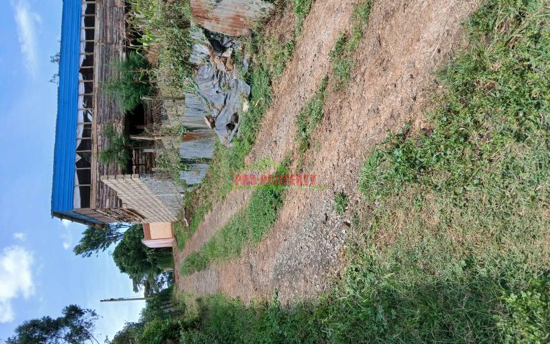 Prime  100 By  100 Ft  Residential Plot For Sale In Kikuyu,muguga- Thamanda  Area