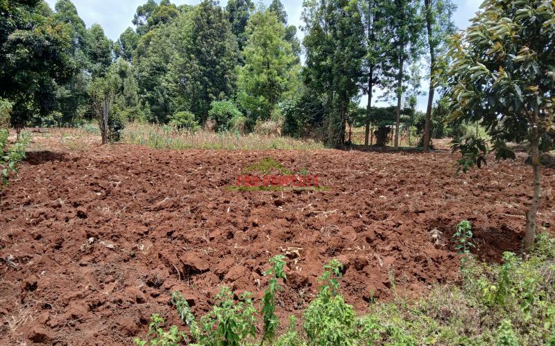 Prime 50 By 100ft Residential Plot For Sale In Kikuyu,gikambura
