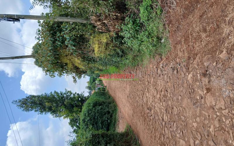 Prime 50 By 100ft Residential Plot For Sale In Kikuyu,gikambura