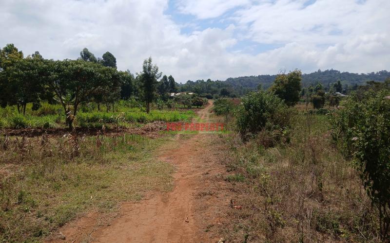 Prime 50 By 100ft For Sale In Kikuyu,lusigetti