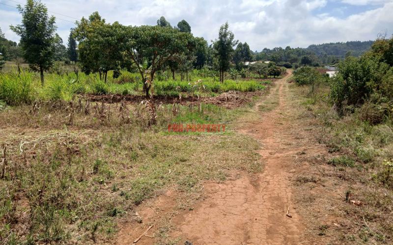 Prime 50 By 100ft For Sale In Kikuyu,lusigetti