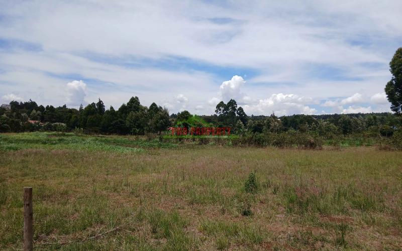 Prime 50 By 100ft Residential Plots For Sale In Kikuyu,thigio