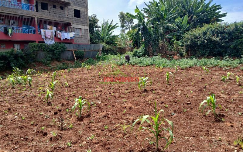 Prime 50 By 100 Ft Commercial Plot For Sale In Kikuyu,kinoo