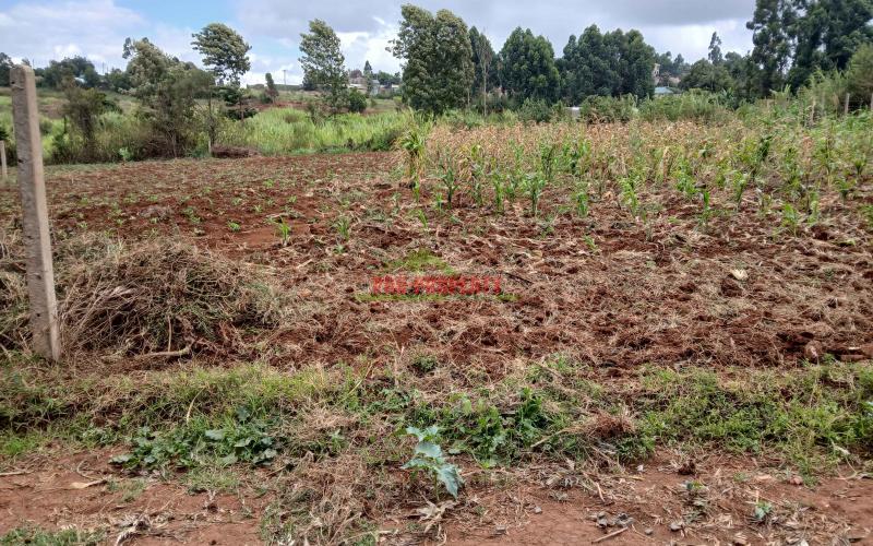 Prime 100 By 100ft Residential Plot For Sale In Kikuyu,gikambura