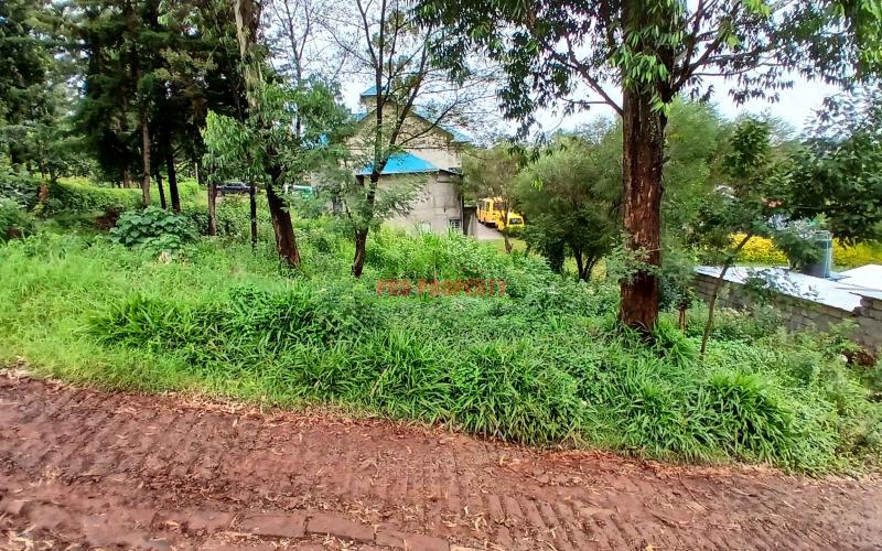 Prime  40 By 60   Commercial Plot For Sale In Kikuyu,gitaru