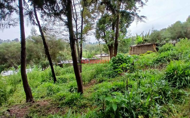 Prime  40 By 60   Commercial Plot For Sale In Kikuyu,gitaru