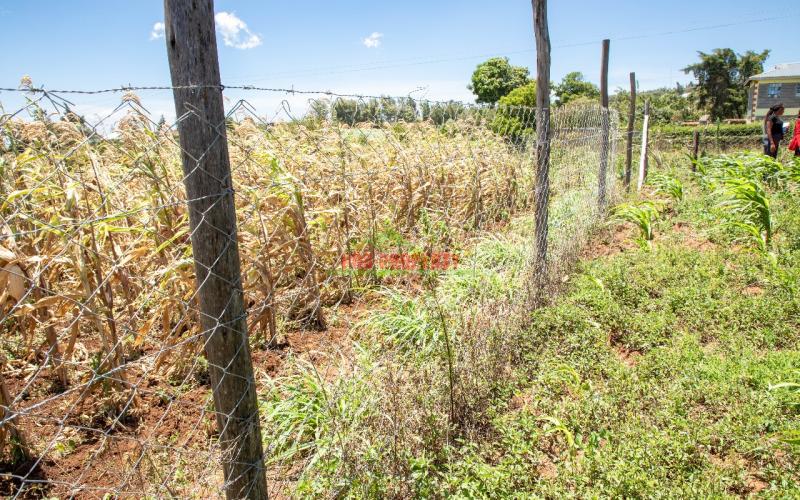 Prime Residential Plot For Sale In Kikuyu, Kamangu.