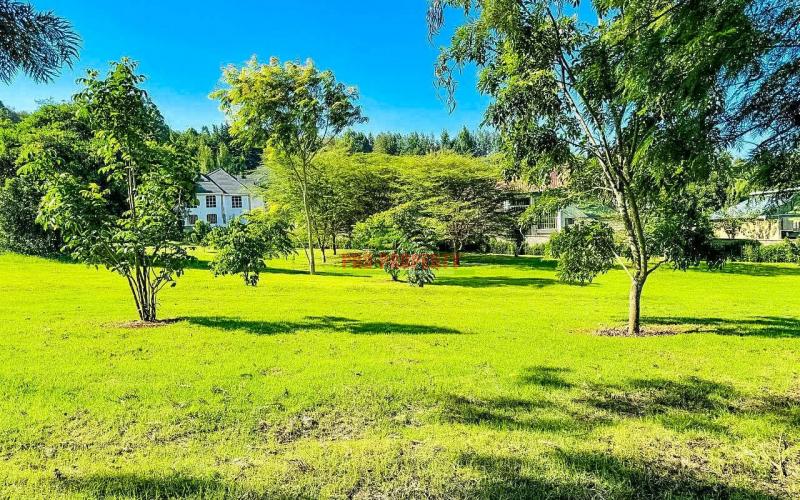 Prime 1/4 Acre Plots For Sale In Ngong (tulivu Estate)