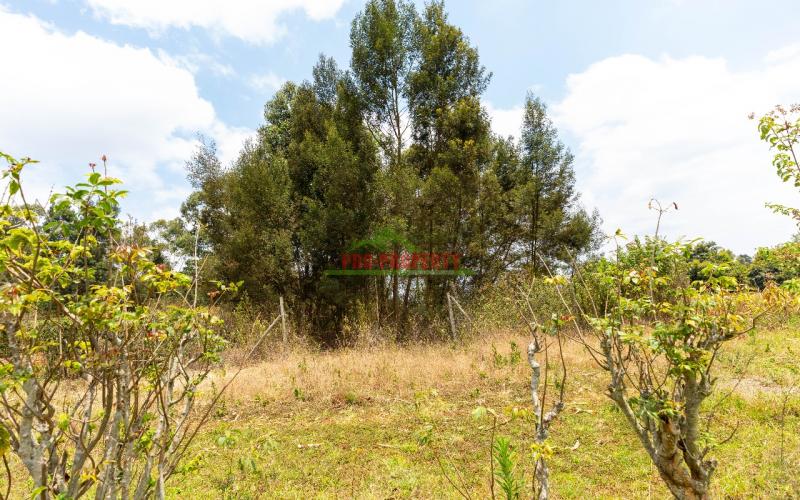 Prime Residential Plot For Sale In Kikuyu, Gikambura - Jambu Tv.