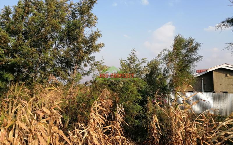 Residential Plot For Sale In Kikuyu, Kamangu
