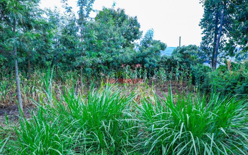 Prime Residential Plot For Sale Kikuyu, Thamanda