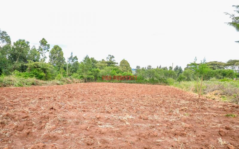 Prime Residential Plot For Sale In Kikuyu, Lusigetti