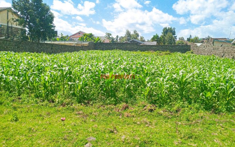 1/4 Acre Residential Plot For Sale In Olive Inn Estate, Nakuru, Kiamunyi.